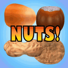 Nuts Chestnut GIF - Nuts Chestnut Peanut GIFs