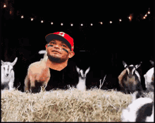 goats yadi yadier molina yadi goat st louis cardinals