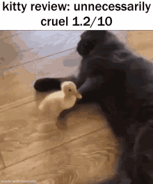 Kitty Review Duck GIF - Kitty Review Duck Cruel GIFs