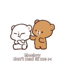 mochyy milk and mocha cute bear grumpy