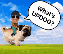 kitboga whats updog pug dog funny