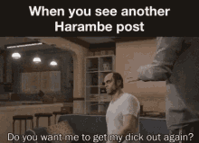 Dicks Out For Harame When You See Another Harambe Meme GIF - Dicks Out For Harame When You See Another Harambe Meme Harambe GIFs