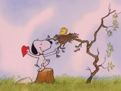 恋 こい スヌーピー すぬーぴー ウッドストック Gif Snoopy Woodstock Heart Discover Share Gifs