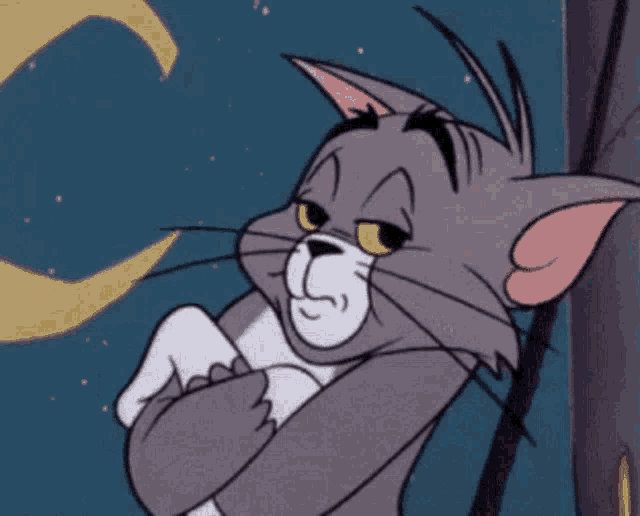 https://c.tenor.com/sgkNRaWRilwAAAAd/traffic-tom.gif