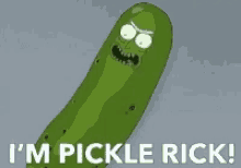 rick and morty im pickle rick pickles cartoons