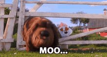 Moo Cow GIF - Moo Cow Mocking GIFs