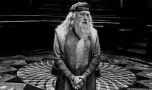 dumbledore now what hands on hips
