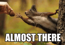 Almost There Squirrel GIF - Almost There Squirrel But GIFs