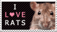Rats Rodents GIF - Rats Rodents Stamp GIFs