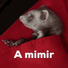 Mimir Buenas GIF - Mimir Buenas Noches GIFs