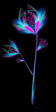 3d Flower Neon GIF - 3d Flower Neon Changing Colors GIFs
