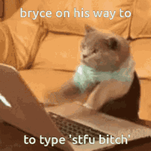 Bryce Cat GIF - Bryce Cat Typing GIFs