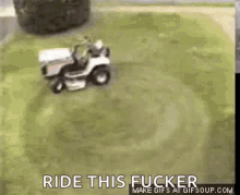 Mowing Cat GIF - Mowing Cat Lawn Mower GIFs