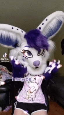 Iolitefox Furry GIF - Iolitefox Furry I May Have Stoopid GIFs