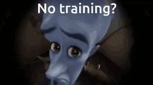 training no