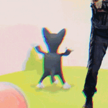 dancing cat cat shake it off jamming cool dancing cat cat shake it off jamming cool