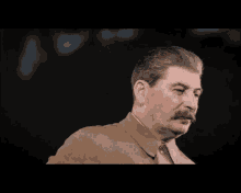 Joseph Stalin Look GIF - Joseph Stalin Stalin Look GIFs