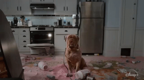 Dog Made A Mess Turner And Hooch GIF - Dog Made A Mess Turner And Hooch Messy House - Descubre & Comparte GIFs