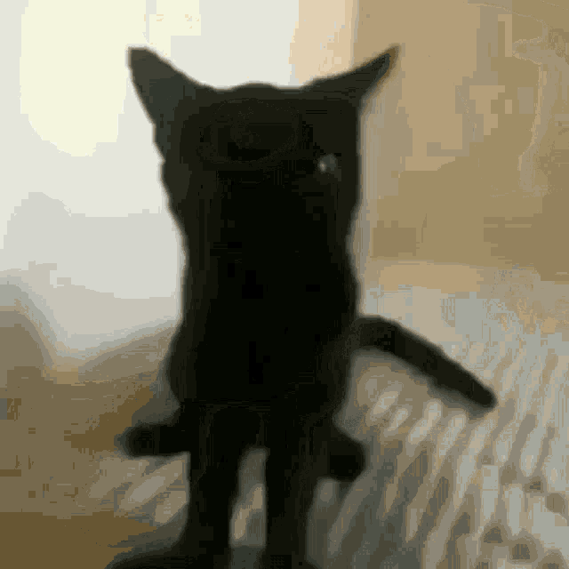 Cat Scary GIF Cat Scary Jumpscare Discover & Share GIFs