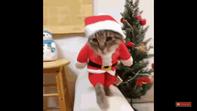 Gato Feliz Navidad GIF - Gato Feliz Navidad Merry Christmas - Discover &amp; Share GIFs