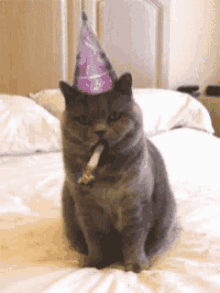 Cheers Kitty GIF - Cheers Kitty Happy Birthday GIFs
