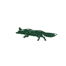 running apple fox malaysia apple fox cider heineken sprinting