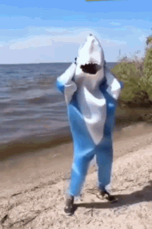 Dance Shark GIF - Dance Shark Summer Vibes GIFs