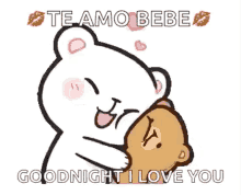 hug kiss milk and mocha bears love good night