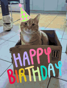 Cat Orangecat GIF - Cat Orangecat Happy Birthday GIFs