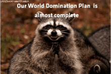 World Domination Raccoon GIF - World Domination Raccoon Scheme GIFs