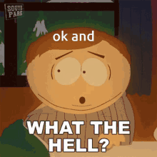 Ok And What The Hell GIF - Ok And What The Hell South Park GIFs