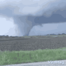 Twister Typhoon GIF - Twister Typhoon Natural Disaster GIFs