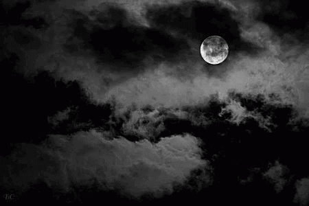 Moon Night GIF - Moon Night - Descubre & Comparte GIFs