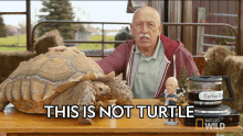 This Is Not Turtle Dr Pol GIF - This Is Not Turtle Dr Pol Its Time For Turtles GIFs
