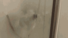Dog Licking GIF - Dog Licking Glass GIFs