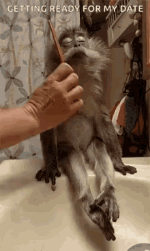Getting Ready For My Date Monkey GIF - Getting Ready For My Date Monkey Pretty GIFs