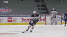 Toronto Maple GIF - Toronto Maple Leafs GIFs