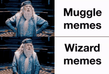 dumbledore harry potter hermonie voldemort meme