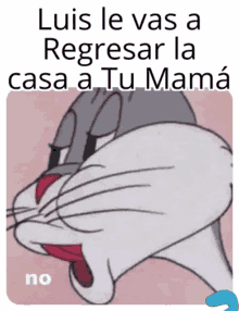 luis zelaya luis le vas a regresar la casa a tu mama no bugs bunny luis zelaya luis le vas a regresar la casa a tu mama no bugs bunny