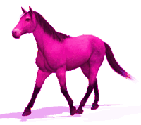 Pink Horse Sticker - Pink Horse Stickers
