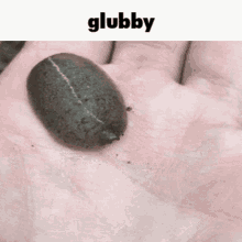 Glubby Glubby Snail GIF - Glubby Glubby Snail Animals With Captions GIFs