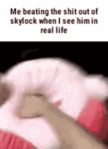skylock 64ios