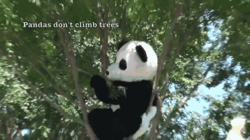 Pandas Don&#39;T Climb Trees GIF - Panda Costume Fail - Discover &amp; Share GIFs