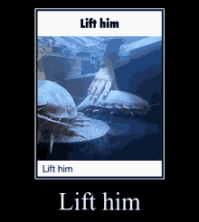 Lift Him Isopod GIF - Lift Him Isopod GIFs