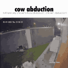 Cow Abduction GIF - Cow Abduction Cowabduction GIFs
