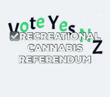 Vote Yes Nz Recreational Cannabis Referendum GIF - Vote Yes Nz Recreational Cannabis Referendum Voting GIFs