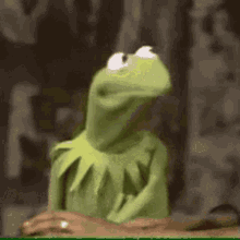 Frog Scared GIF - Frog Scared Kermit GIFs