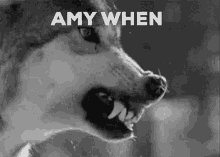 Alpha Amy Amy Arlert GIF - Alpha Amy Amy Arlert Armin Arlert GIFs