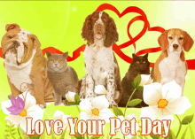 Love Your Pet Day Pets GIF - Love Your Pet Day Pets Dogs GIFs