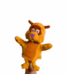 beaver play fun yes yes yes yes beaver play fun yes yes yes yes